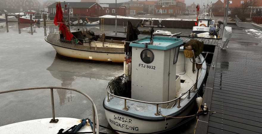 Havnebassinet Gl. Havn